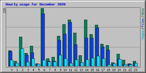 Hourly usage for December 2020