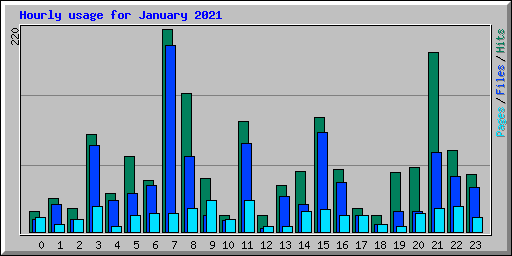 Hourly usage for January 2021